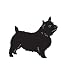 Terrier Dog Pet Norwich Terrier Car Truck Vehicle Bumper Helmet Decal Sticker Wall Art Laptop Design Skin Stickers