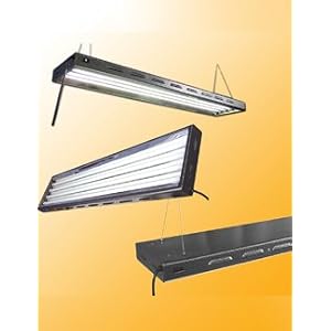 Sun Blaze T5 24 - 2 ft. -4 Lamp - Includes 6500deg K Bulbs (blue)