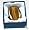 www.tantrakurse.com - Tigerauge Linsenstein ca 3 x 4 5 cm Lieferung in Gechenkbox ideal f�r Massage und Wellness