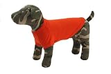 hotdog PLAIN T-SHIRT(プレーンTシャツ) オレンジ S