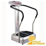 Palm Springs Crazy Fit Power Vibration Plate