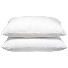 Perfect Fit Down Alternative 1000-Thread Count Luxury Bed Pillow 2 Pack with Zip Cover