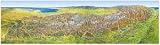 Das grosse Alpenpanorama Sommer, Poster - Hans Oberacher