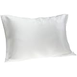 Spasilk 100% Pure Silk Facial Beauty Pillowcase, Standard/Queen, White