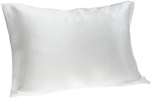 Spasilk 100% Pure Silk Facial Beauty Pillowcase