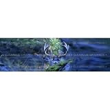Window Graphic - 20x65 Watched [Misc.]