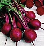Beet Moneta 385 Seeds Per Packet