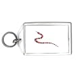 Keychain with reptile, slithering, stripes, snake, red