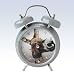 Wacky Wakers Donkey Alarm Clock