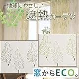 ՔMECOJ[e@NbJoDE1198@100~135cm2g@G100135cm/BR