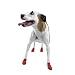 Pawz Red Water-Proof Dog Boot, Small, Up to 2-1/2-Inch