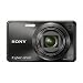Sony Cyber-shot DSC-W290 12.1 MP Digital Camera with 5x Optical Zoom and Super Steady Shot Image Stabilization (Black)