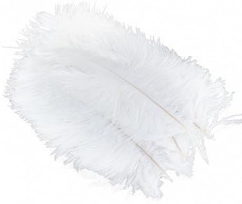 10 Pieces White Natural Ostrich Feather 20-25cm