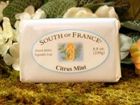 Bar Soap Citrus Mint 8.80 Ounces
