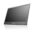 Lenovo ThinkVision LT1421 35,6 cm (14 Zoll) LED-Monitor (8 milliseconds, USB) schwarz