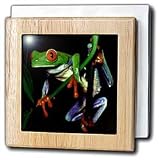 Review 3dRose LLC  / Frog - 6 Inch Tile Napkin Holder
