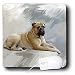 Dogs Mustiff - Bullmastiff - Mouse Pads