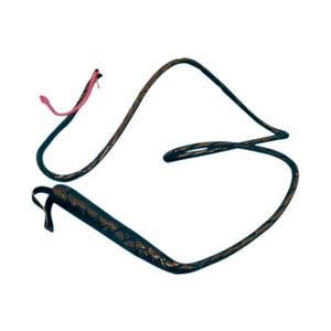 Childrens Toyshop  Toys : Whip