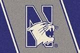 Northwestern Wildcats 4 &acute; x 6 &acute; Team Door Mat - B0001H0I36