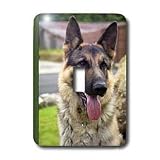 Dogs German Shepherd - German Shepherd Portrait - Light Switch Covers - single toggle switch