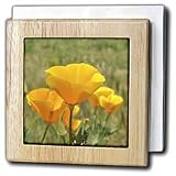 31jrgBuMJIL. SL160  California Orange Poppies Field Flowers Flower Photograph   6 Inch Tile Napkin Holder
