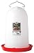 Little Giant 3 Gallon Poultry Waterer 7906