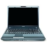 Toshiba Satellite P305D-S8995E