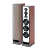 psb Platinum T6