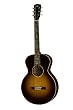 Gibson  L-1...