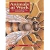Animals at Work: How Animals Build, Dig, Fish and Trap (Animal Behavior)