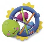 Fisher-Price Clutch N Shake Turtle Toy, 2 pack