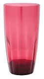 Zak Designs Aquam Virtually Unbreakable 19-Ounce Polycarbonate HiBall Tumbler, Ruby