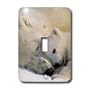 Wild animals - Polar Bear and Cub - Light Switch Covers - single toggle switch