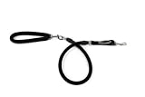 EZ Steps Low Impact Shock Absorbing Leash for Dog up to 125 lbs., Black
