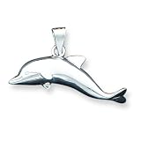Sterling Silver Dolphin Pendant with 20 inch Sterling Silver Chain
