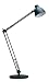 Contemporary Lamps, Infinity Adjustable Desk Lamp by Lite Source--Excellent customer service--see our feedback.
