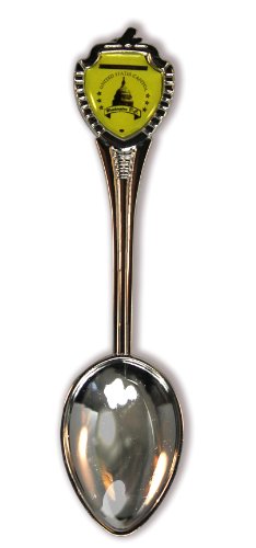 Washington DC Souvenir Spoon