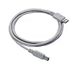 Hewlett Packard Printer Cable USB 2.0 6 / HEWC6518A / HEWC6518A