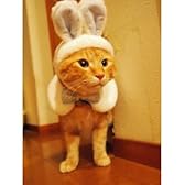 エレガントなウサギちゃん♪ブルーセット