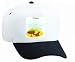 White Cap with clam, fish, aquarium