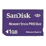 SANDISK CORPORATION - MEMORY STICK PRO DUO, 1GB (SDMSPD1024A11) (SDMSPD1024A11)