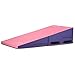 We Sell Mats Gymnastics Folding and Non-Folding Incline Cheese Wedge Skill Shape Tumbling Mat (Purple/Pink, 60