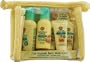 Jason Natural Cosmetics - Earth's Best -Baby Travel Kit, 1 kit