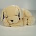 Baby : Lavender Lab - Aromatherapy
