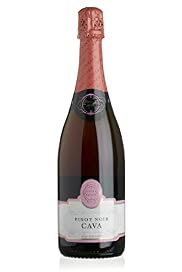 Vintage Cava Pinot Noir Rosado 2009 - Case of 6