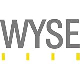 Wyse Display Port/DVI Cable