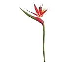 UPC 033849814835 product image for 37