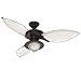 Hunter 25522 54-Inch Sanibel Ceiling Fan, New Bronze