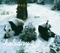 Grand gallery presents holiday 2