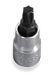 1/4 Driver x SD-27 Star Bit Socket - CV